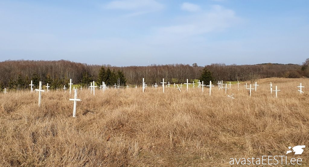 Aa hüljatud vanurite kalmistu (Marko Kaldur)