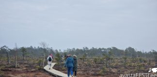 26.04 automatk “Matkapäev Tolkuse, Sookuninga, Nigula ja Luitemaa kandi loodusradadel”