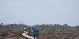 26.04 automatk “Matkapäev Tolkuse, Sookuninga, Nigula ja Luitemaa kandi loodusradadel”