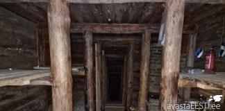 08.11 matkareis “Isadepäeval metsavendade radadel” (bussiga)