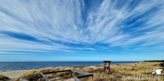 01.08 matkareis Nõva looduskaitsealal ja läänerannikul (bussiga)