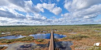 04.07 matkareis “Lääne-Viru ja Pandivere rabarajad” (bussiga)